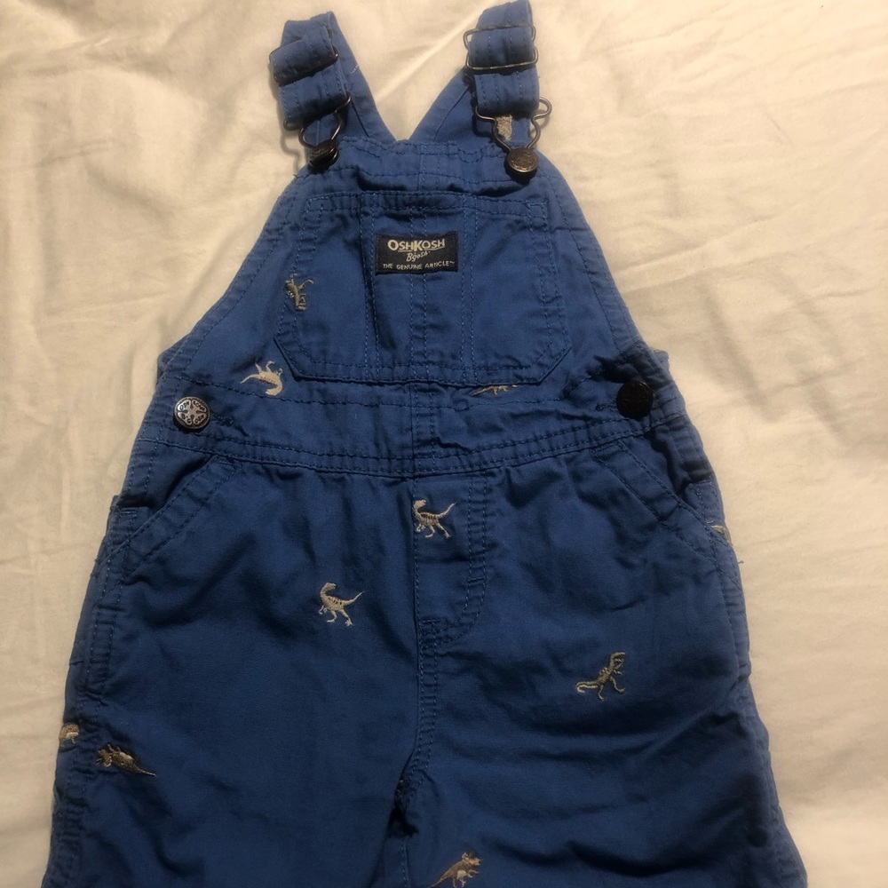 Dinosaur Overalls